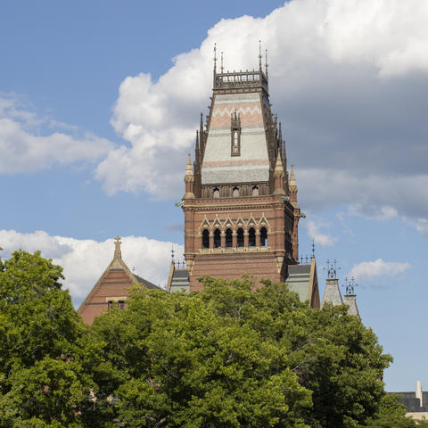 Memorial Hall Tower and Trees