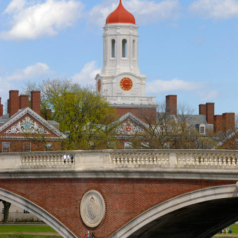 Bridge and Dome